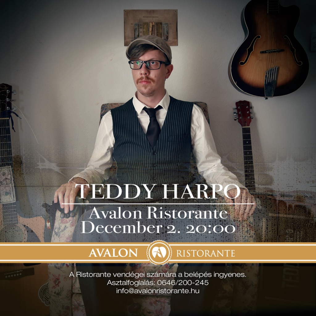 Teddy Harpo One Man Band Koncert Miskolc Avalon Park